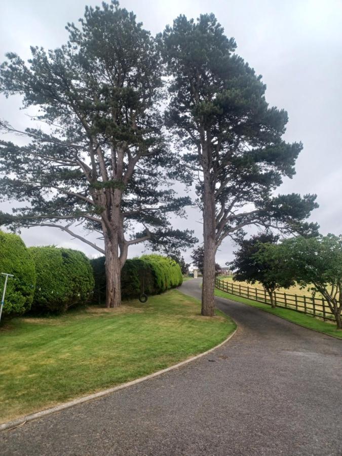 Loughview Retreat In The Mournes Apartman Newcastle  Kültér fotó